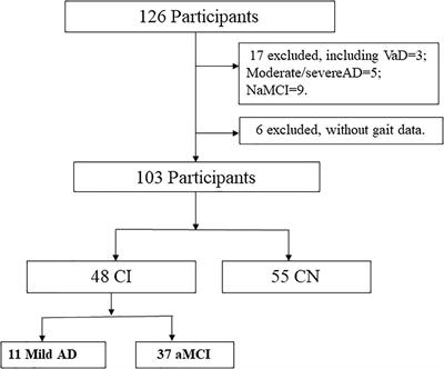 High Fall Risk Associated With Memory Deficit and Brain Lobes Atrophy Among Elderly With Amnestic Mild Cognitive Impairment and Mild Alzheimer’s Disease